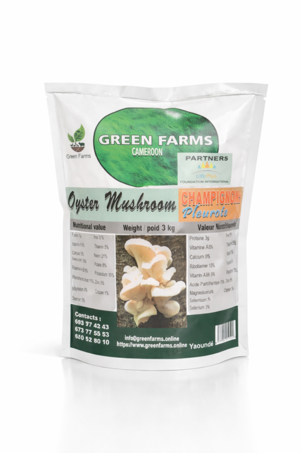 Oyster Mushroom (Pleurote)